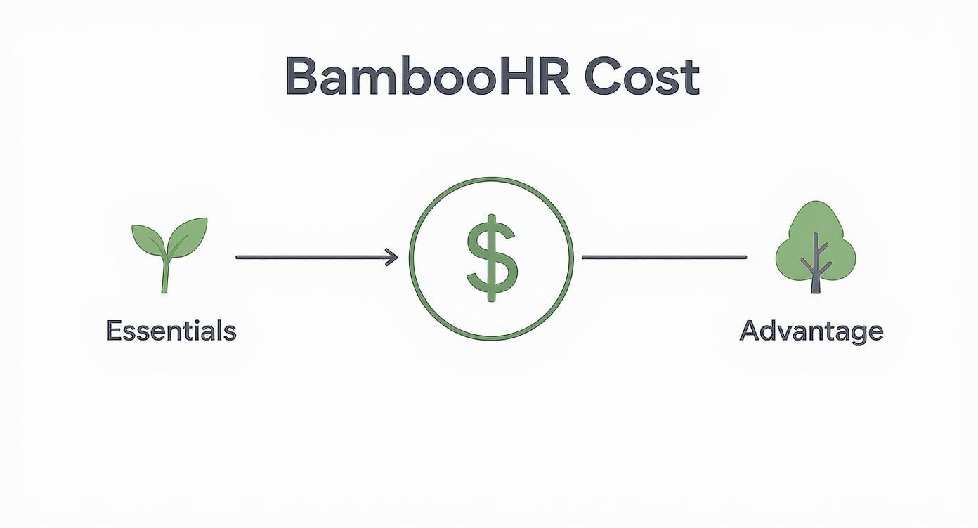 A diagram showing BambooHR cost progression from Essentials (sprout) to Advantage (tree).