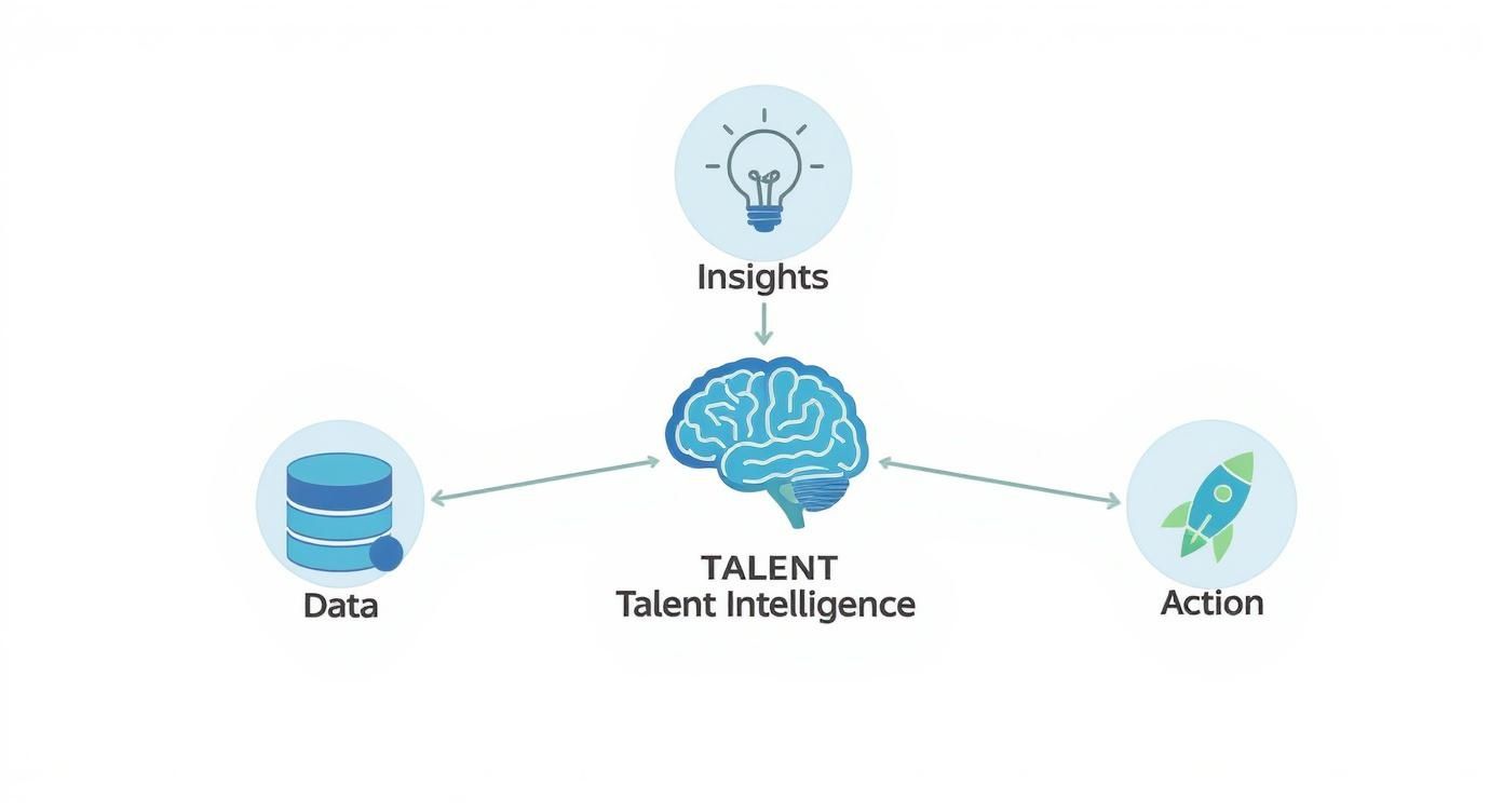 Infographic about talent intelligence software
