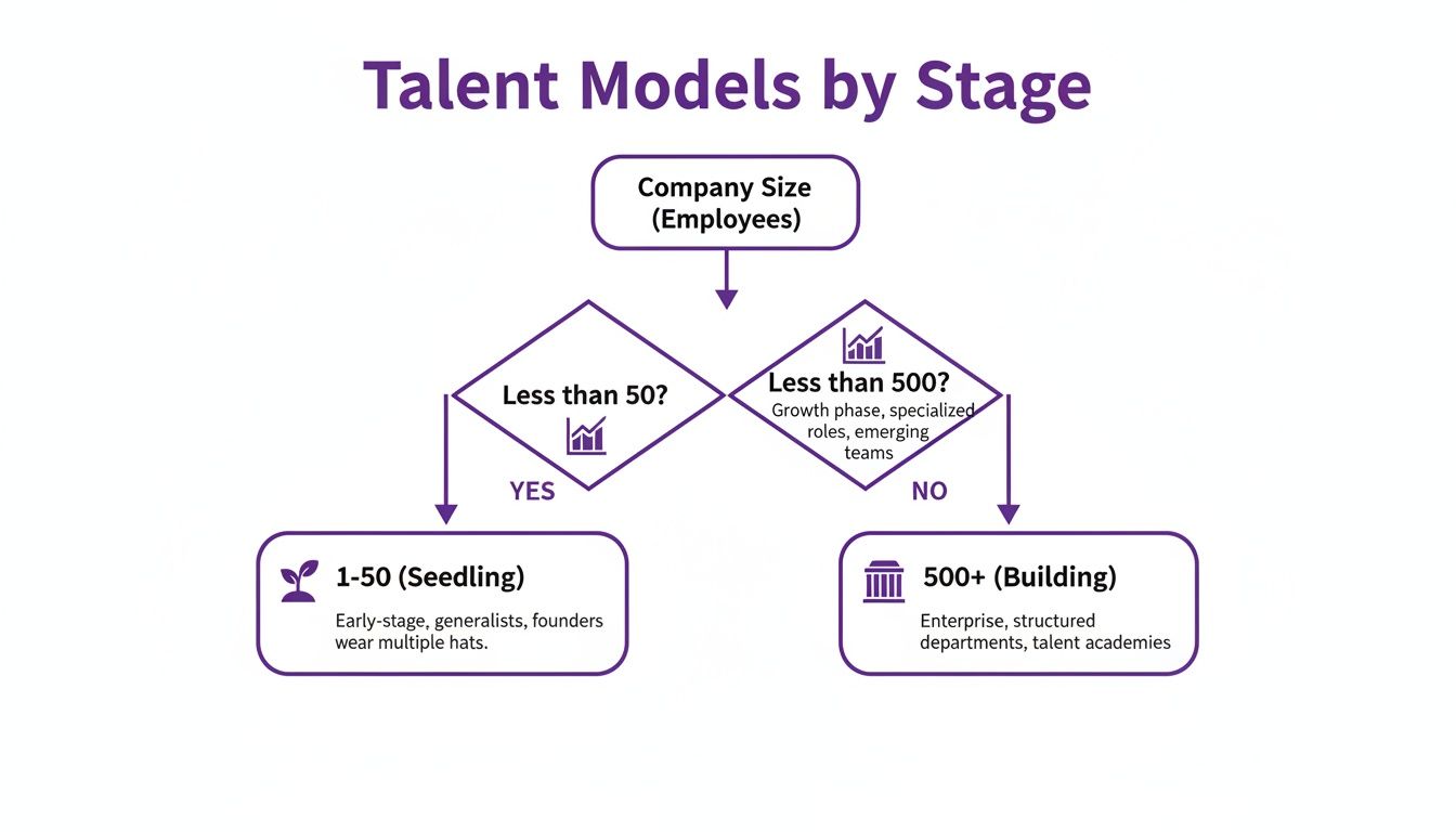 Flowchart detailing talent management models based on company size and organizational stage.